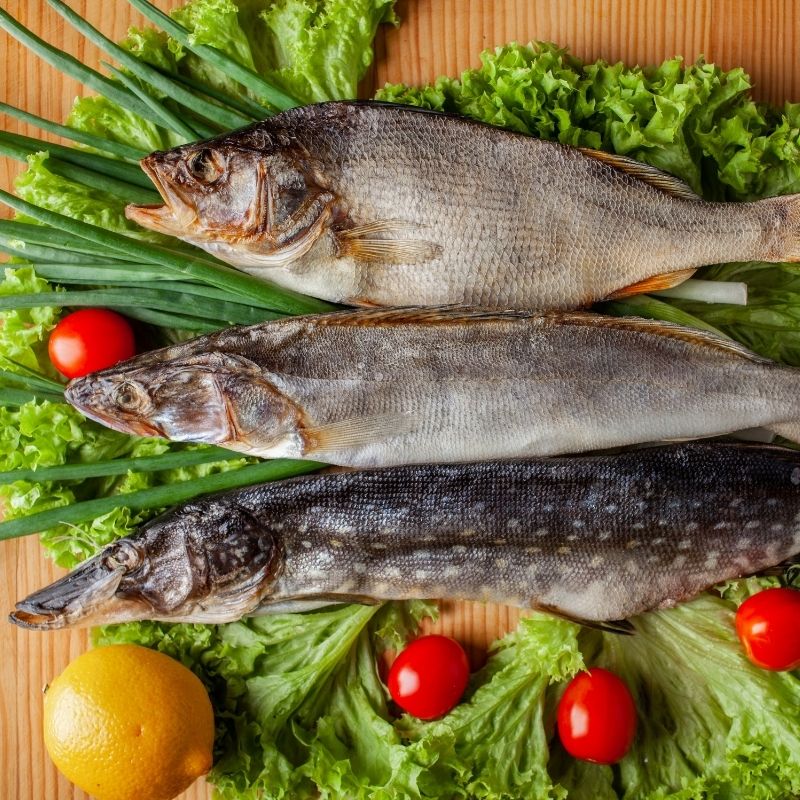 Сет "Хижак" тріо