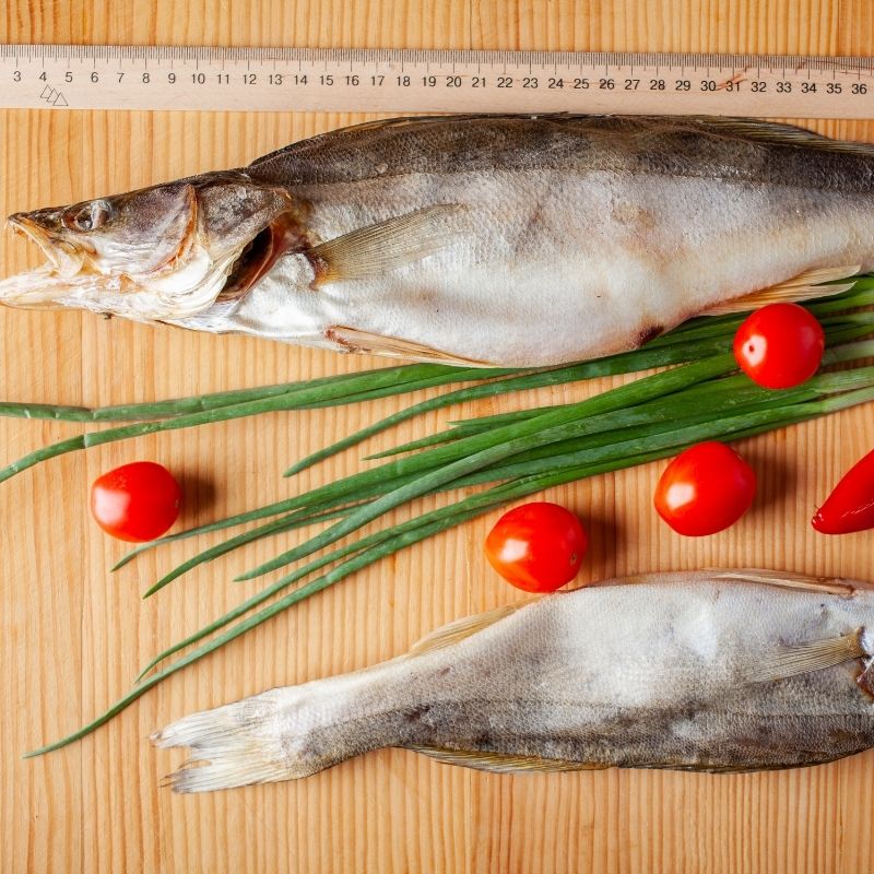 Сет "Хижак" судак