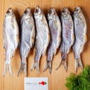 Тарань середня