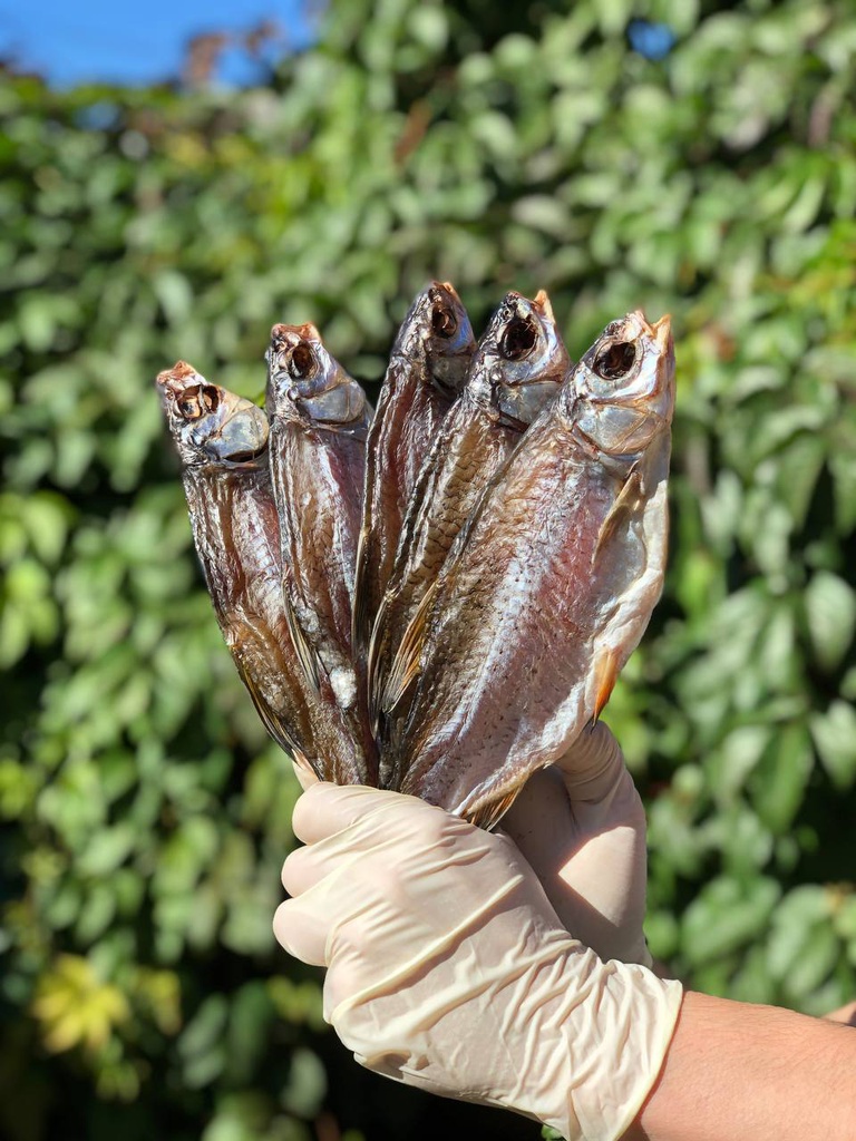 Наша тарань