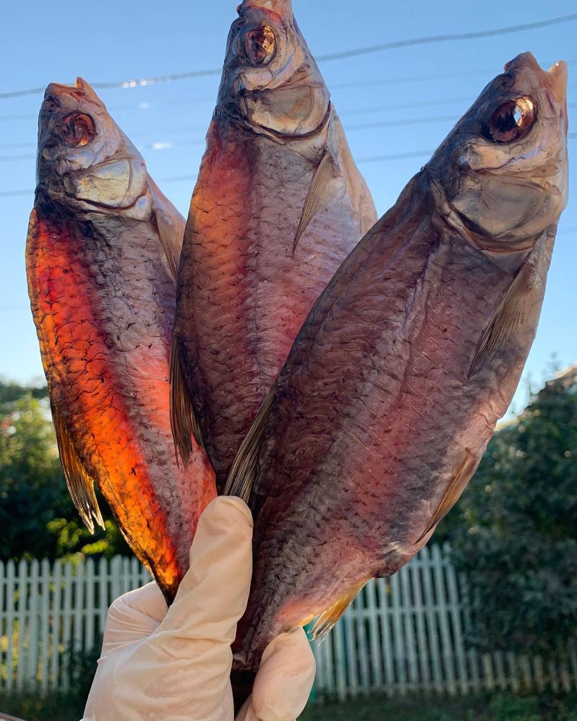 Тарань на сонці