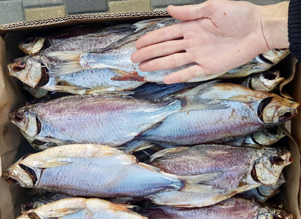 Тарань більше ладоні