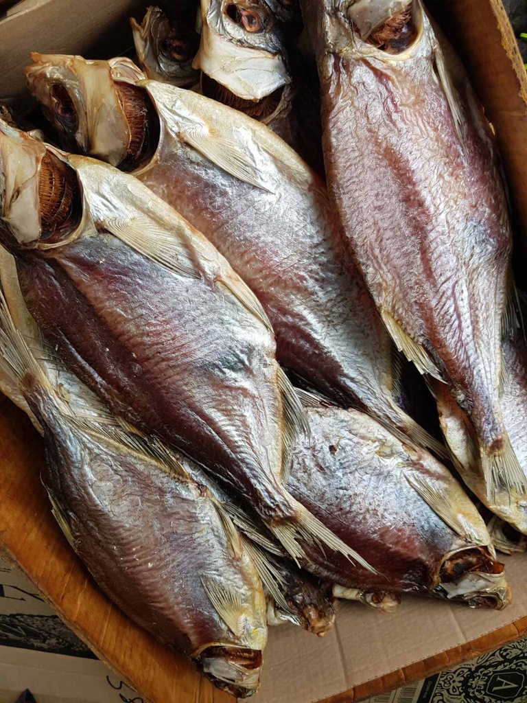 Лящ без ікри