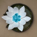 Південні дзвоники