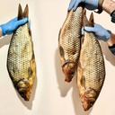 Короп копчений