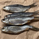 Патрана тарань з ікрою великого розміру