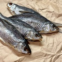 Патрана тарань з ікрою великого розміру