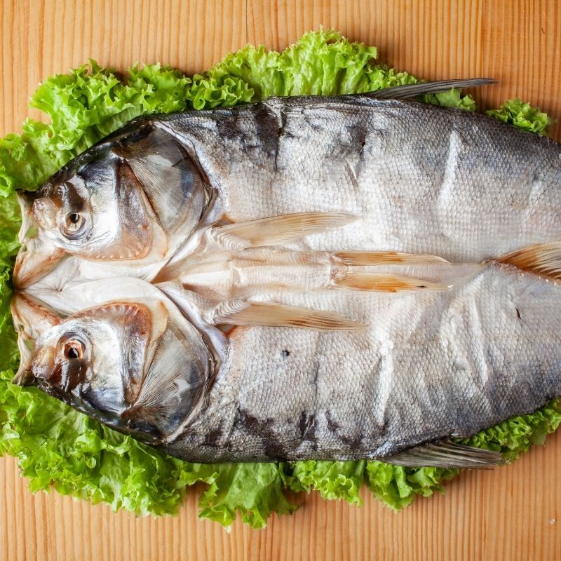 Товстолоб в'ялений