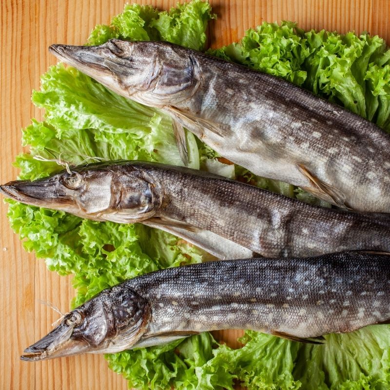 Щука сушена