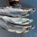 Чехонь в'ялена