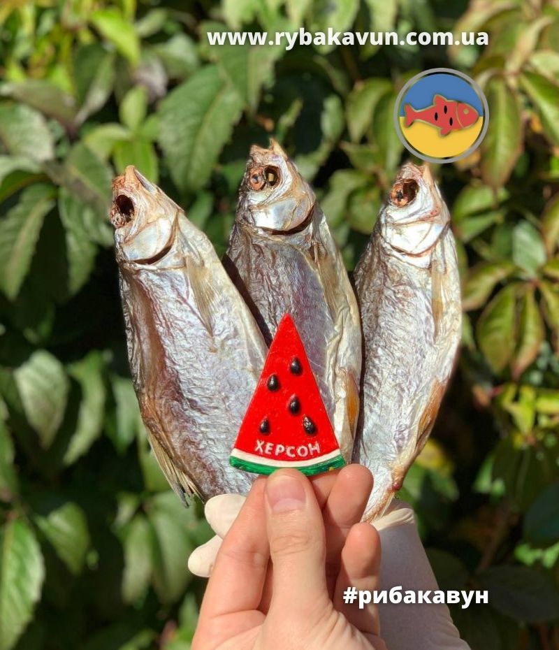 Херсонська рибка