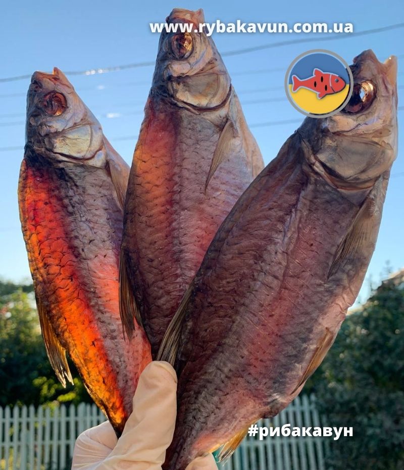 Тарань з ікрою на сонці