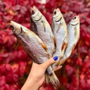 Херсонська рибка