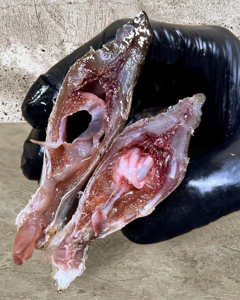 Сушена риба