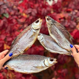 Тарань з молодою ікрою