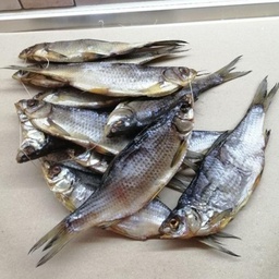 Тарань в лусці